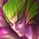 Rakan Rakan